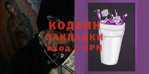 ГАЛЛЮЦИНОГЕННЫЕ ГРИБЫ Корсаков