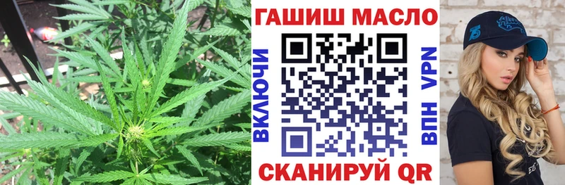 ТГК THC oil Купить Мещовск