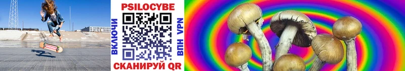 Псилоцибиновые грибы Cubensis  Купить где  Мещовск 